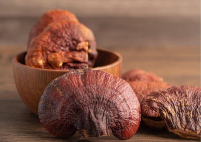 Paddenstoelen supplementen: wat zijn het en waarom zijn ze populair?