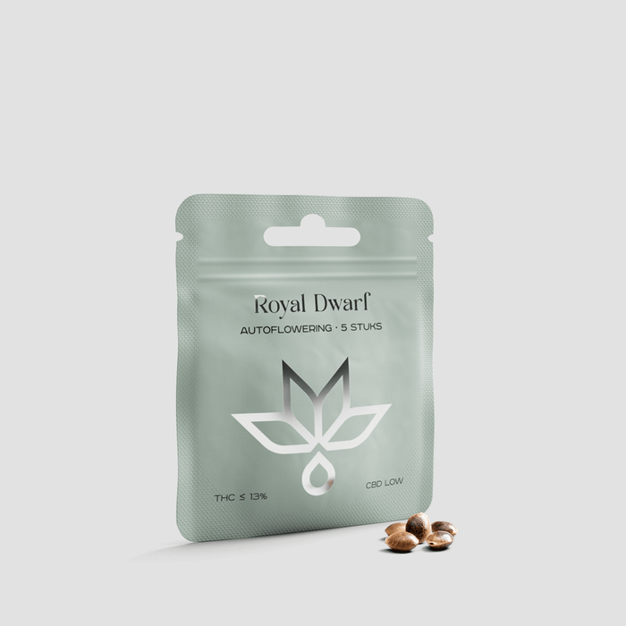 Royal Dwarf autoflowering seeds packet with five seeds on a light background
